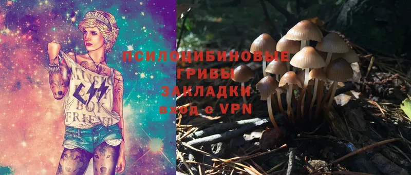 дарнет шоп  MEGA ONION  Псилоцибиновые грибы MAGIC MUSHROOMS  Каспийск 